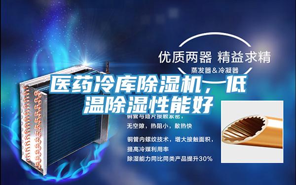 医药冷库MR.好色破解版，低温除湿性能好