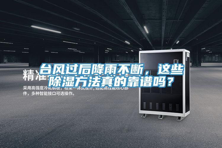台风过后降雨不断，这些除湿方法真的靠谱吗？