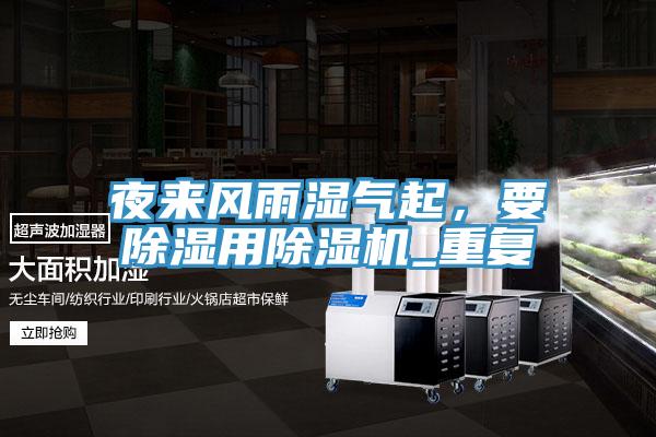 夜来风雨湿气起，要除湿用MR.好色破解版_重复