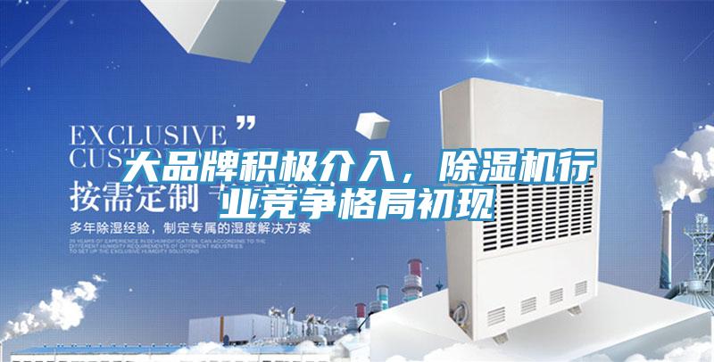 大品牌积极介入，MR.好色破解版行业竞争格局初现