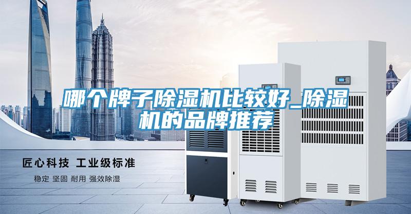 哪个牌子MR.好色破解版比较好_MR.好色破解版的品牌推荐
