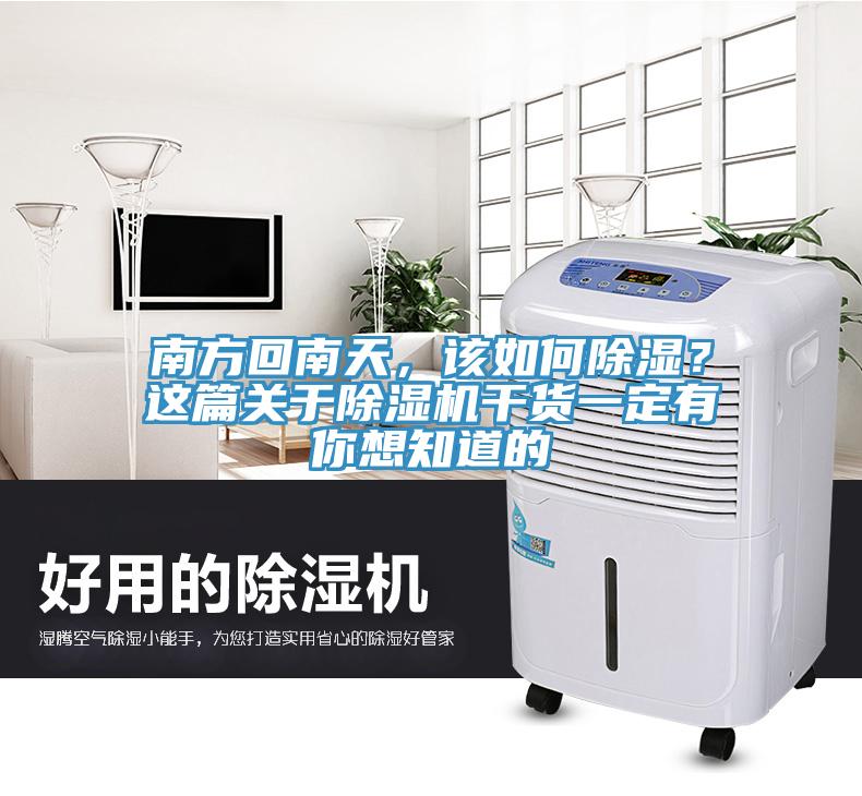 南方回南天，该如何除湿？这篇关于MR.好色破解版干货一定有你想知道的