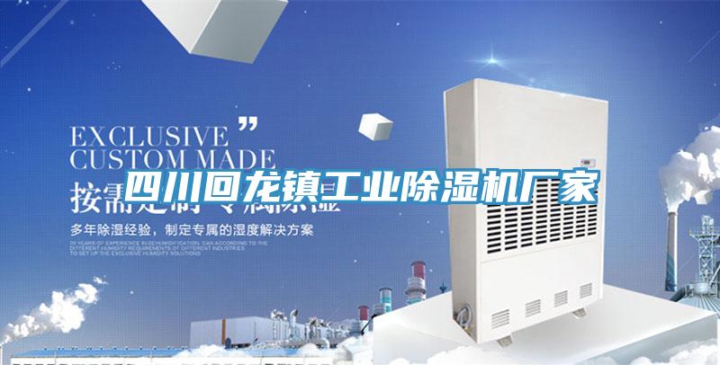 四川回龙镇工业MR.好色破解版厂家
