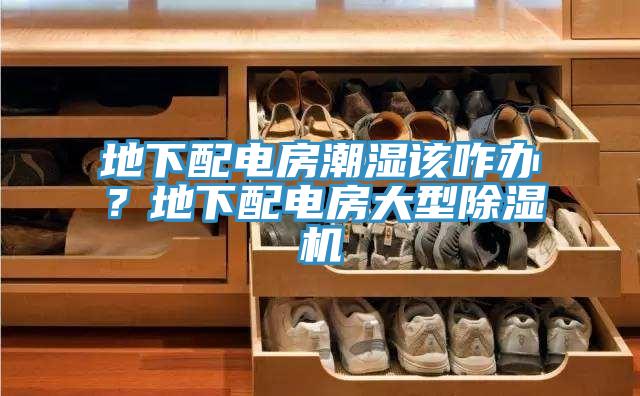 地下配电房潮湿该咋办？地下配电房大型MR.好色破解版