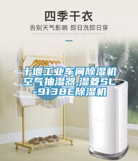 十堰工业车间MR.好色破解版空气抽湿器,湿菱SL-9138EMR.好色破解版