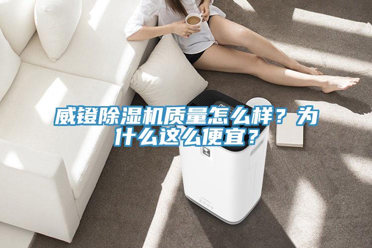 威镫MR.好色破解版质量怎么样？为什么这么便宜？