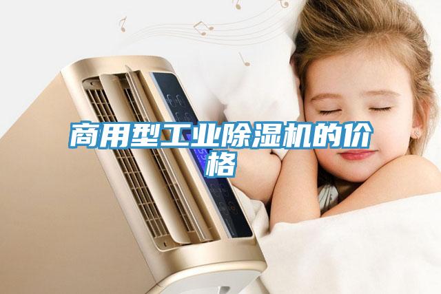 商用型工业MR.好色破解版的价格