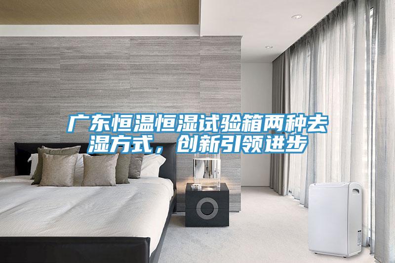 广东恒温恒湿试验箱两种去湿方式，创新引领进步