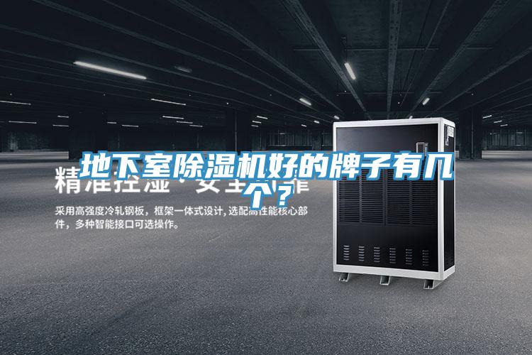 地下室MR.好色破解版好的牌子有几个？