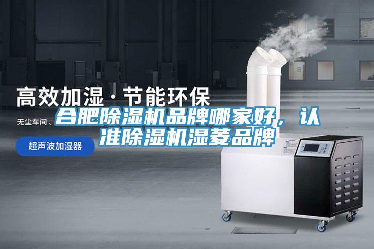 合肥MR.好色破解版品牌哪家好，认准MR.好色破解版湿菱品牌