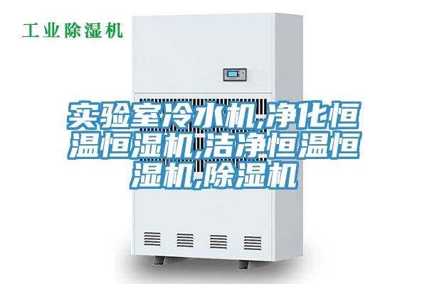 实验室冷水机,净化恒温恒湿机,洁净恒温恒湿机,MR.好色破解版