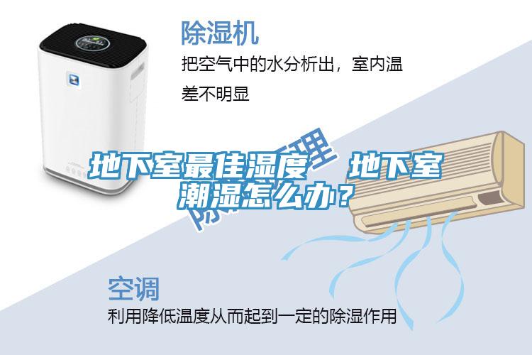 地下室最佳湿度  地下室潮湿怎么办？