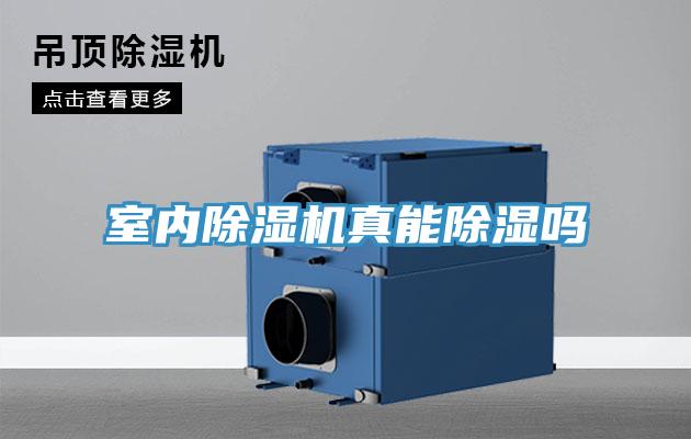 室内MR.好色破解版真能除湿吗