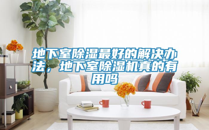 地下室除湿最好的解决办法，地下室MR.好色破解版真的有用吗