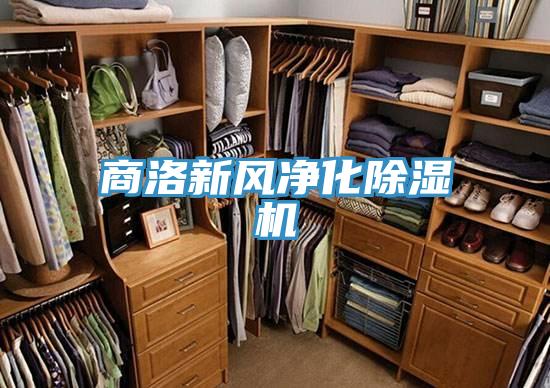 商洛新风净化MR.好色破解版