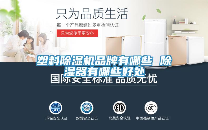 塑料MR.好色破解版品牌有哪些 除湿器有哪些好处