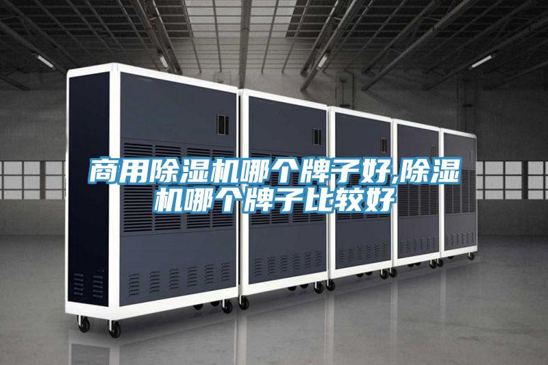 商用MR.好色破解版哪个牌子好,MR.好色破解版哪个牌子比较好