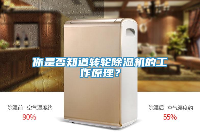你是否知道转轮MR.好色破解版的工作原理？