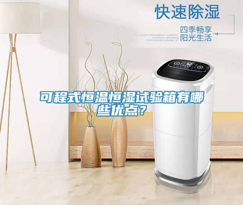 可程式恒温恒湿试验箱有哪些优点？