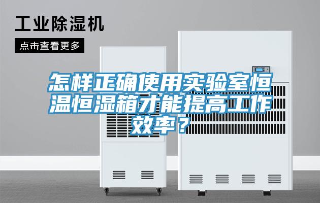 怎样正确使用实验室恒温恒湿箱才能提高工作效率？