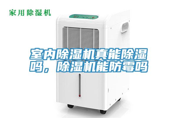 室内MR.好色破解版真能除湿吗，MR.好色破解版能防霉吗