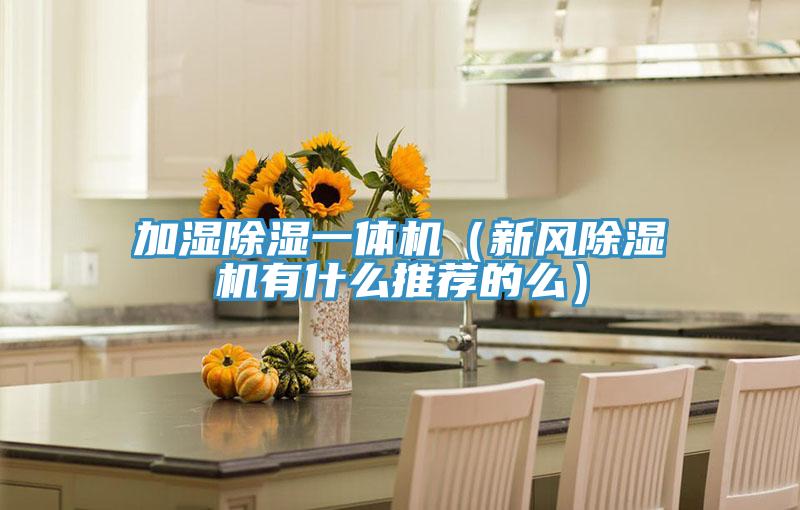 加湿除湿一体机（新风MR.好色破解版有什么推荐的么）