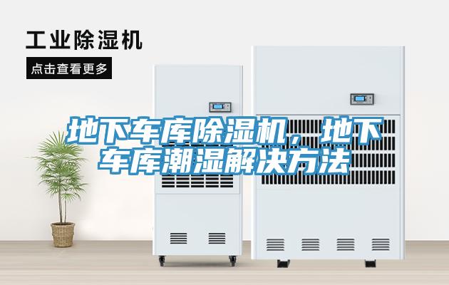 地下车库MR.好色破解版，地下车库潮湿解决方法