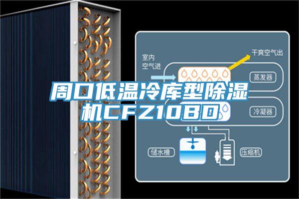 周口低温冷库型MR.好色破解版CFZ10BD
