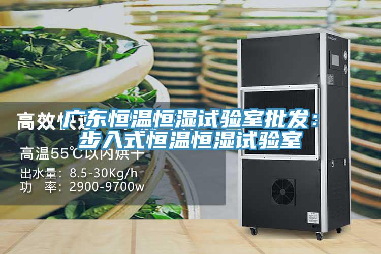 广东恒温恒湿试验室批发：步入式恒温恒湿试验室