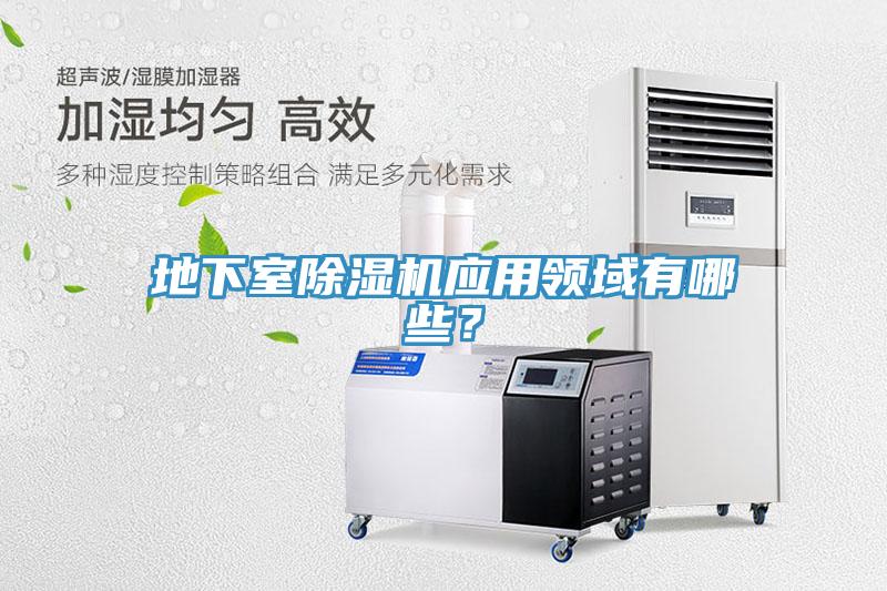 地下室MR.好色破解版应用领域有哪些？