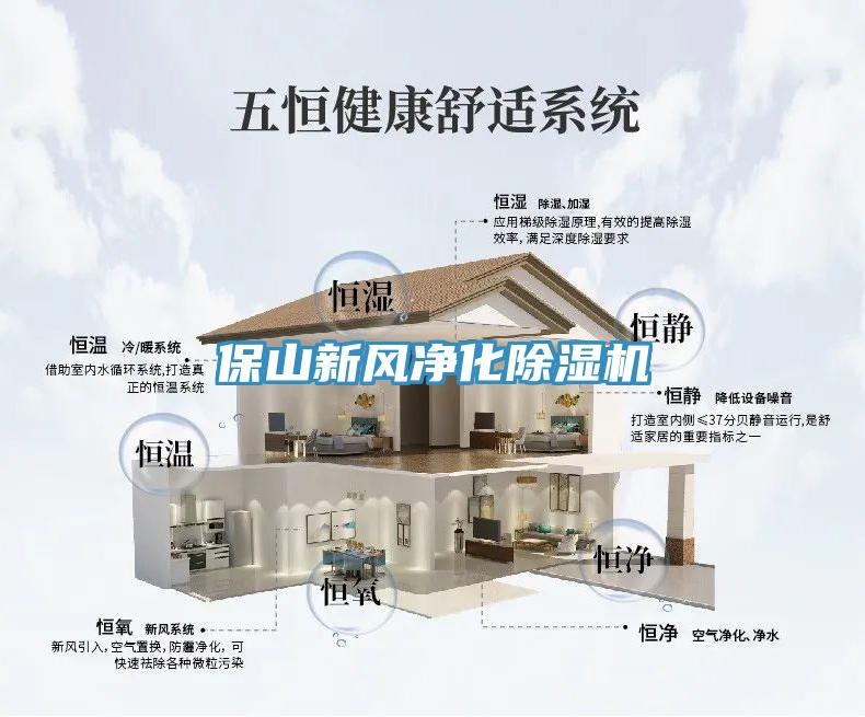 保山新风净化MR.好色破解版