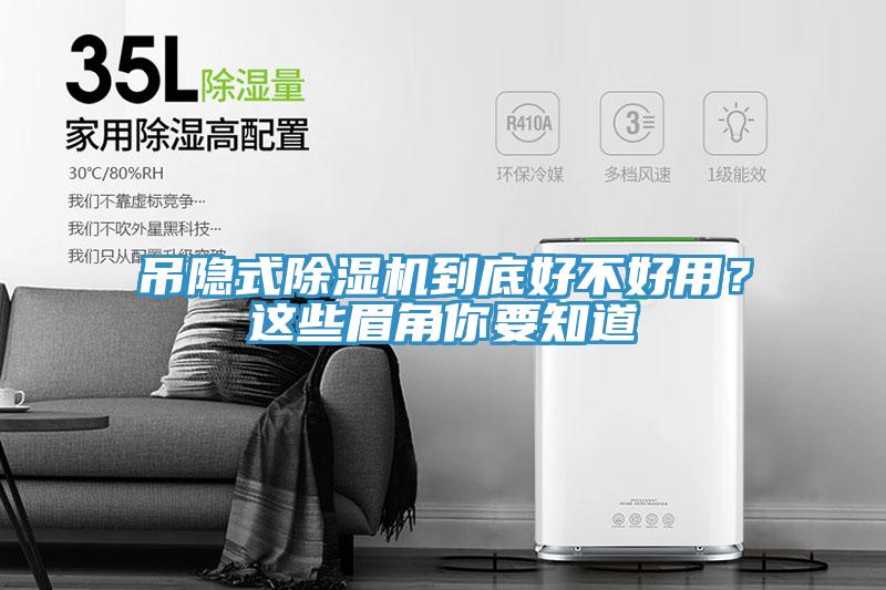 吊隐式MR.好色破解版到底好不好用？这些眉角你要知道