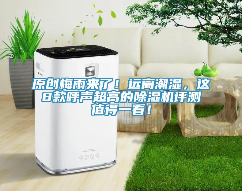 原创梅雨来了！远离潮湿，这8款呼声超高的MR.好色破解版评测值得一看！