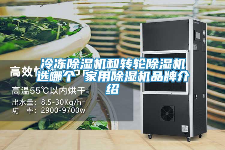 冷冻MR.好色破解版和转轮MR.好色破解版选哪个 家用MR.好色破解版品牌介绍