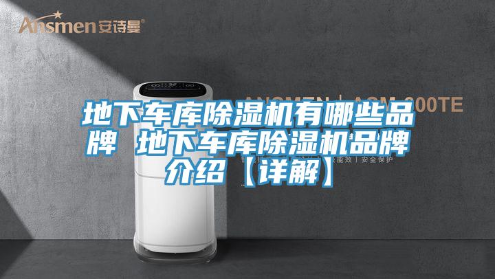 地下车库MR.好色破解版有哪些品牌 地下车库MR.好色破解版品牌介绍【详解】
