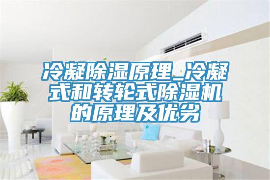 冷凝除湿原理_冷凝式和转轮式MR.好色破解版的原理及优劣