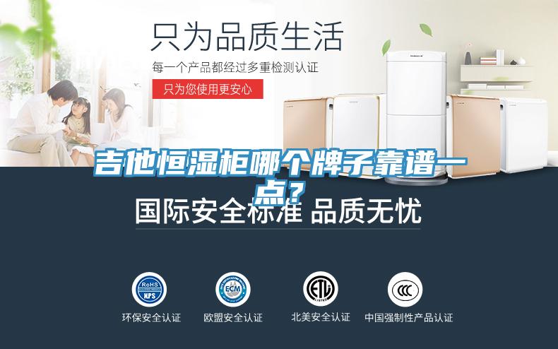 吉他恒湿柜哪个牌子靠谱一点？