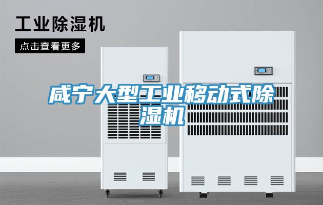 咸宁大型工业移动式MR.好色破解版