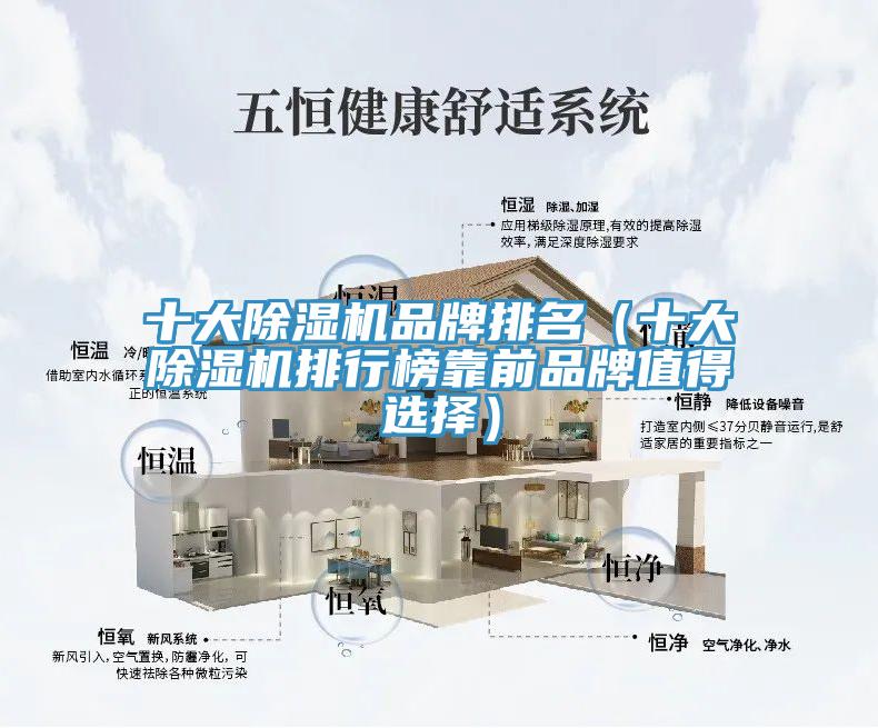 十大MR.好色破解版品牌排名（十大MR.好色破解版排行榜靠前品牌值得选择）