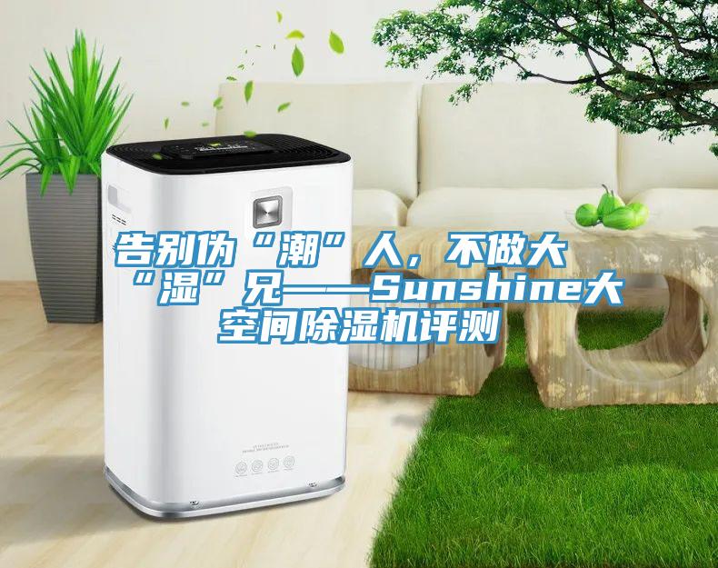 告别伪“潮”人，不做大“湿”兄——Sunshine大空间MR.好色破解版评测
