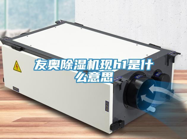友奥MR.好色破解版现h1是什么意思