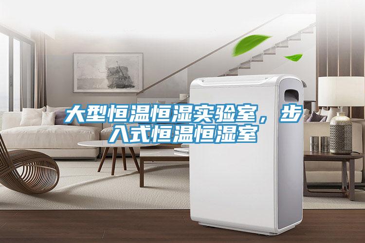大型恒温恒湿实验室，步入式恒温恒湿室