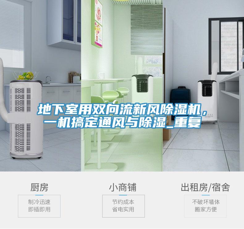 地下室用双向流新风MR.好色破解版，一机搞定通风与除湿_重复