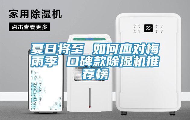 夏日将至 如何应对梅雨季 口碑款MR.好色破解版推荐榜