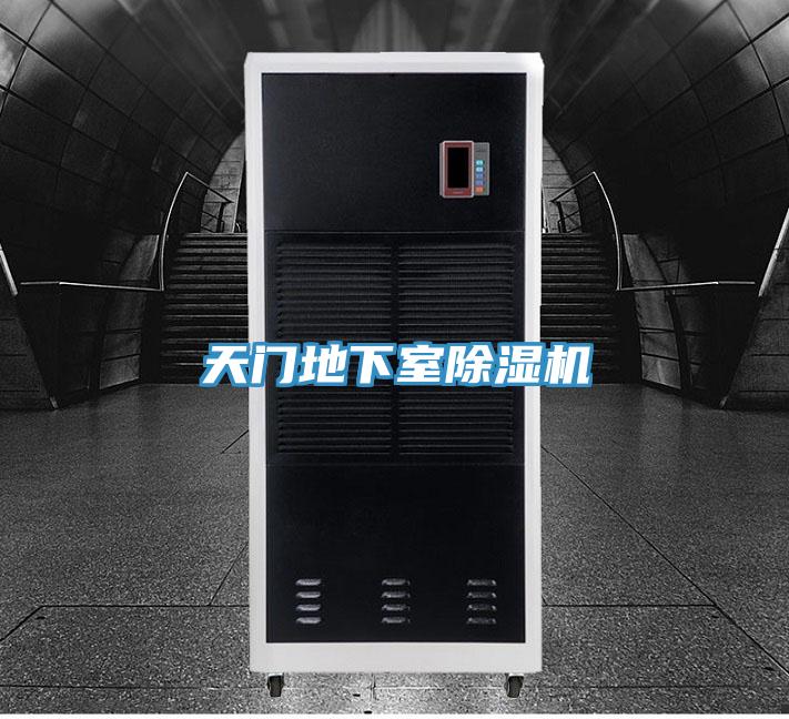 天门地下室MR.好色破解版