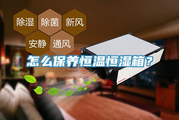怎么保养恒温恒湿箱？