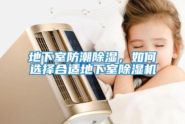 地下室防潮除湿，如何选择合适地下室MR.好色破解版