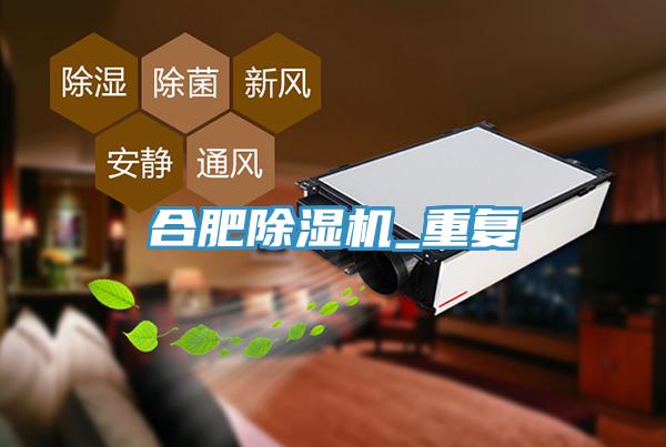 合肥MR.好色破解版_重复