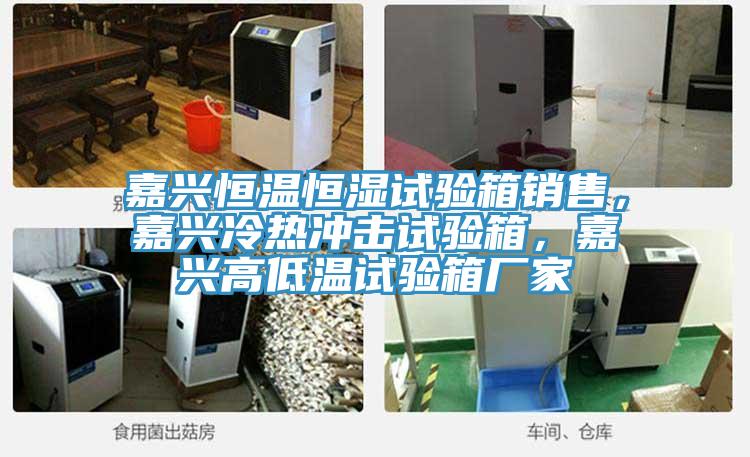 嘉兴恒温恒湿试验箱销售，嘉兴冷热冲击试验箱，嘉兴高低温试验箱厂家