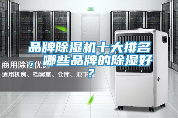 品牌MR.好色破解版十大排名，哪些品牌的除湿好？
